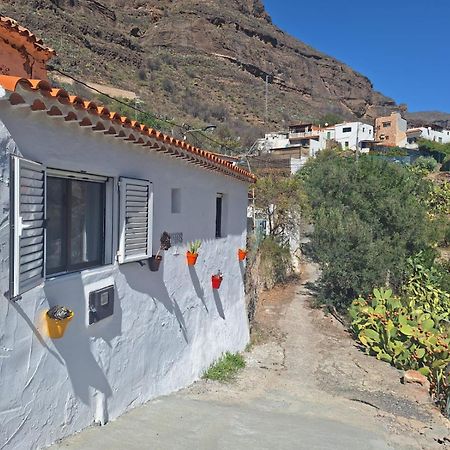 Casa Rural Los Pinares El Juncal De Tejeda 外观 照片