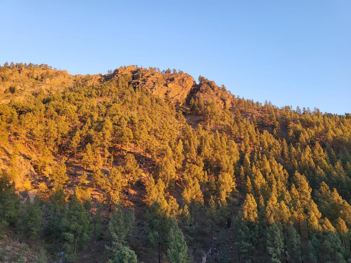 Casa Rural Los Pinares El Juncal De Tejeda 外观 照片