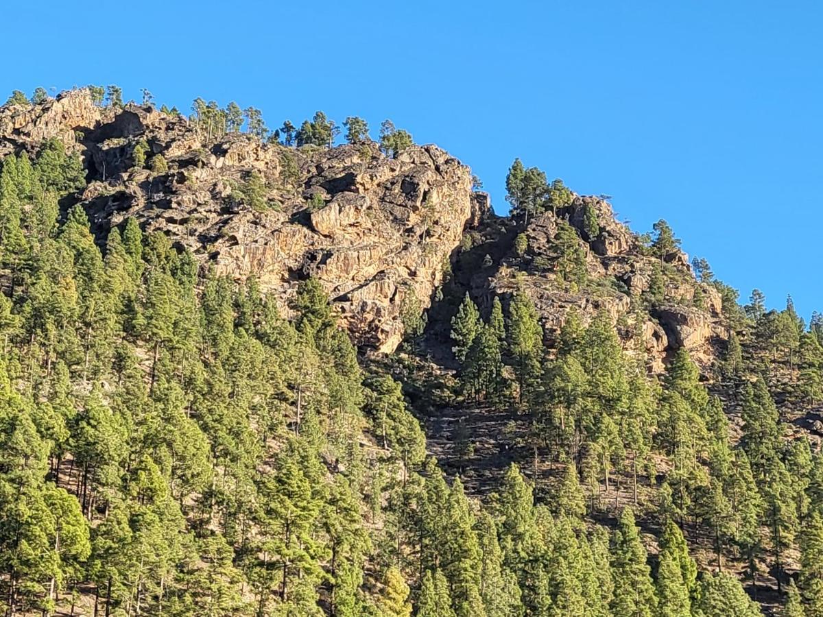 Casa Rural Los Pinares El Juncal De Tejeda 外观 照片