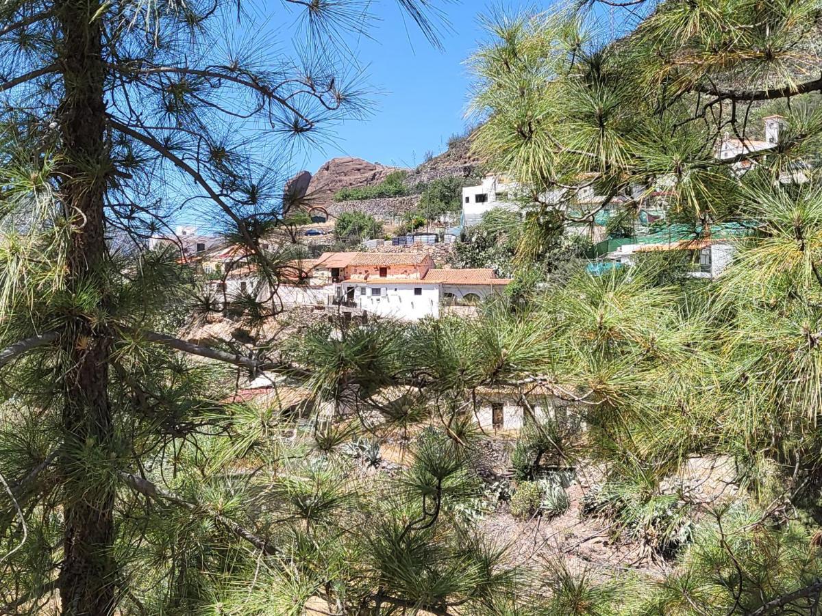 Casa Rural Los Pinares El Juncal De Tejeda 外观 照片