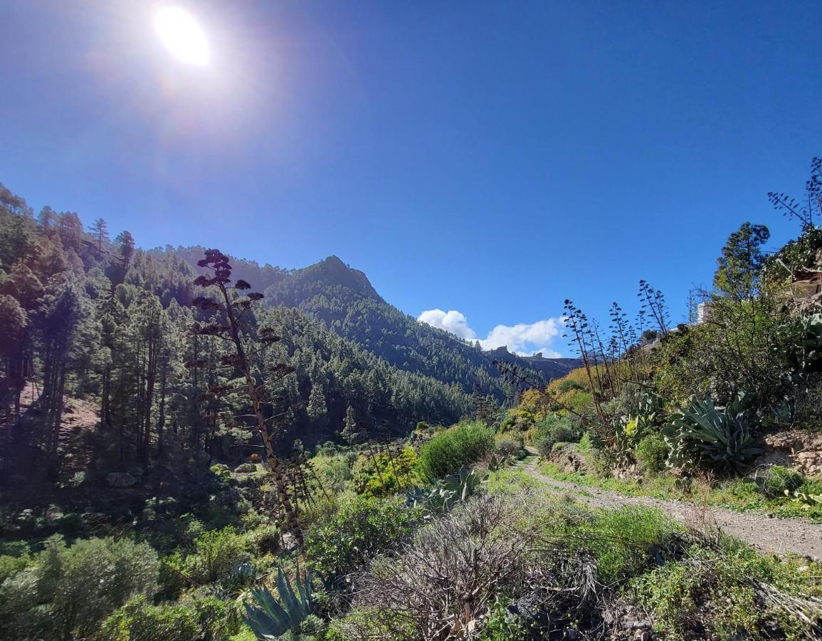 Casa Rural Los Pinares El Juncal De Tejeda 外观 照片