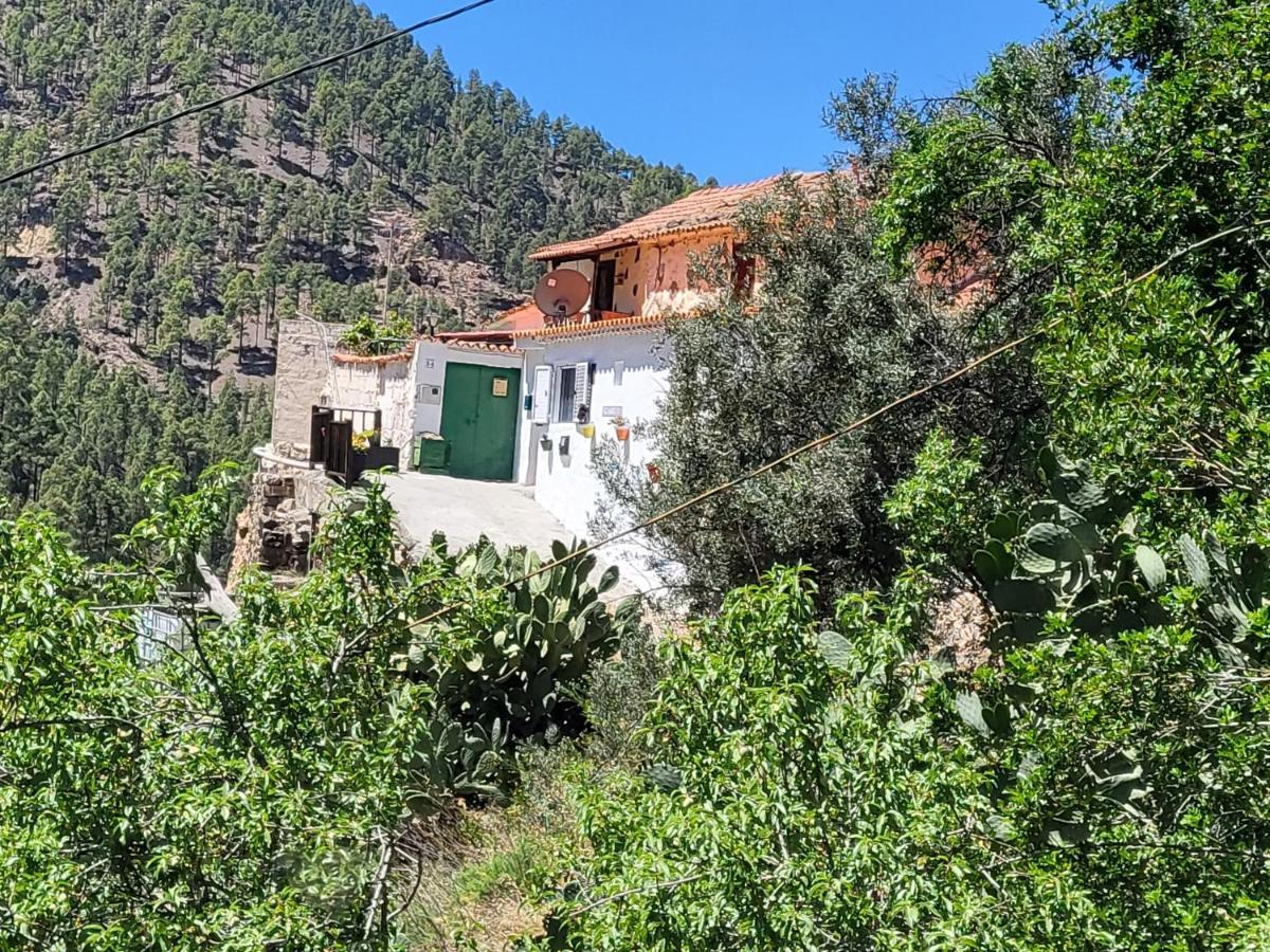 Casa Rural Los Pinares El Juncal De Tejeda 外观 照片