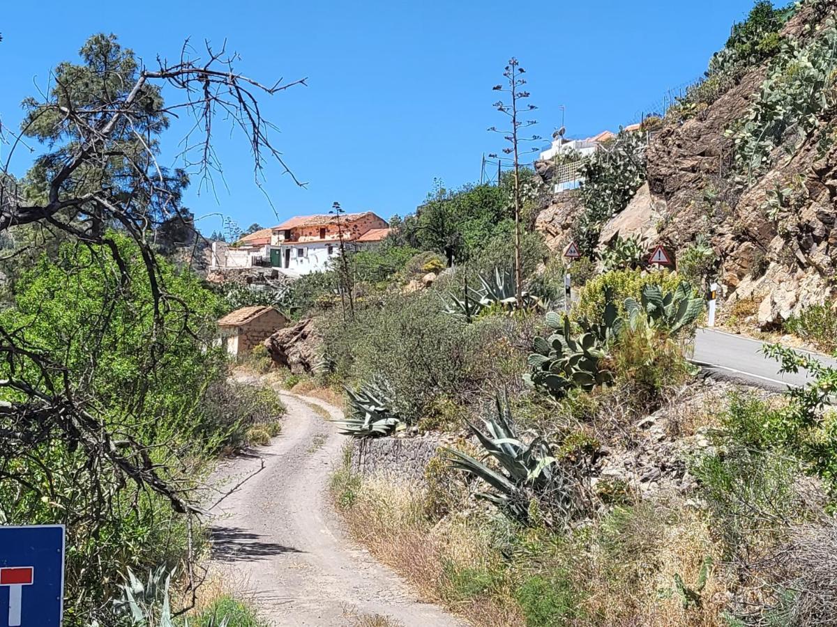 Casa Rural Los Pinares El Juncal De Tejeda 外观 照片