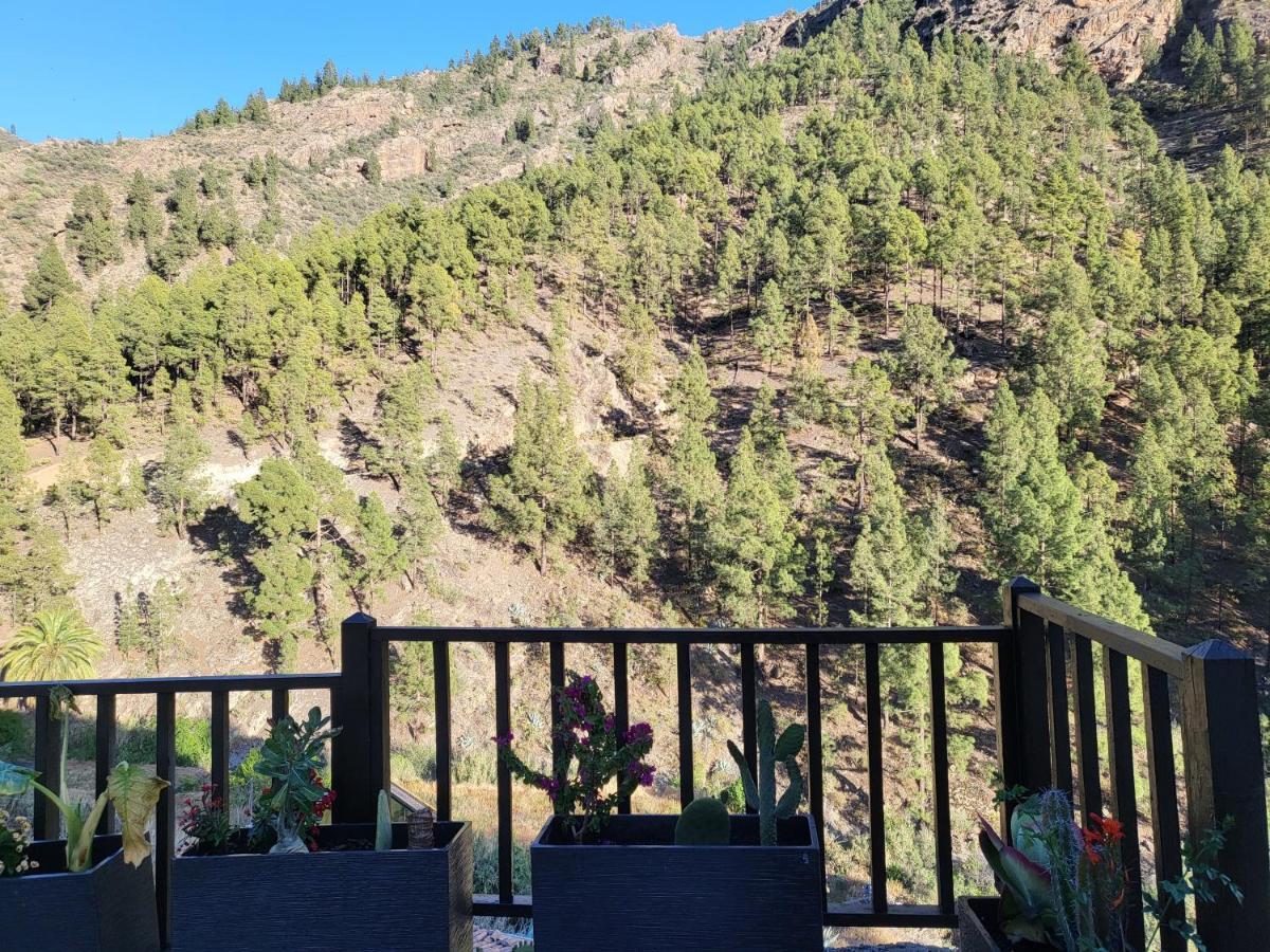 Casa Rural Los Pinares El Juncal De Tejeda 外观 照片