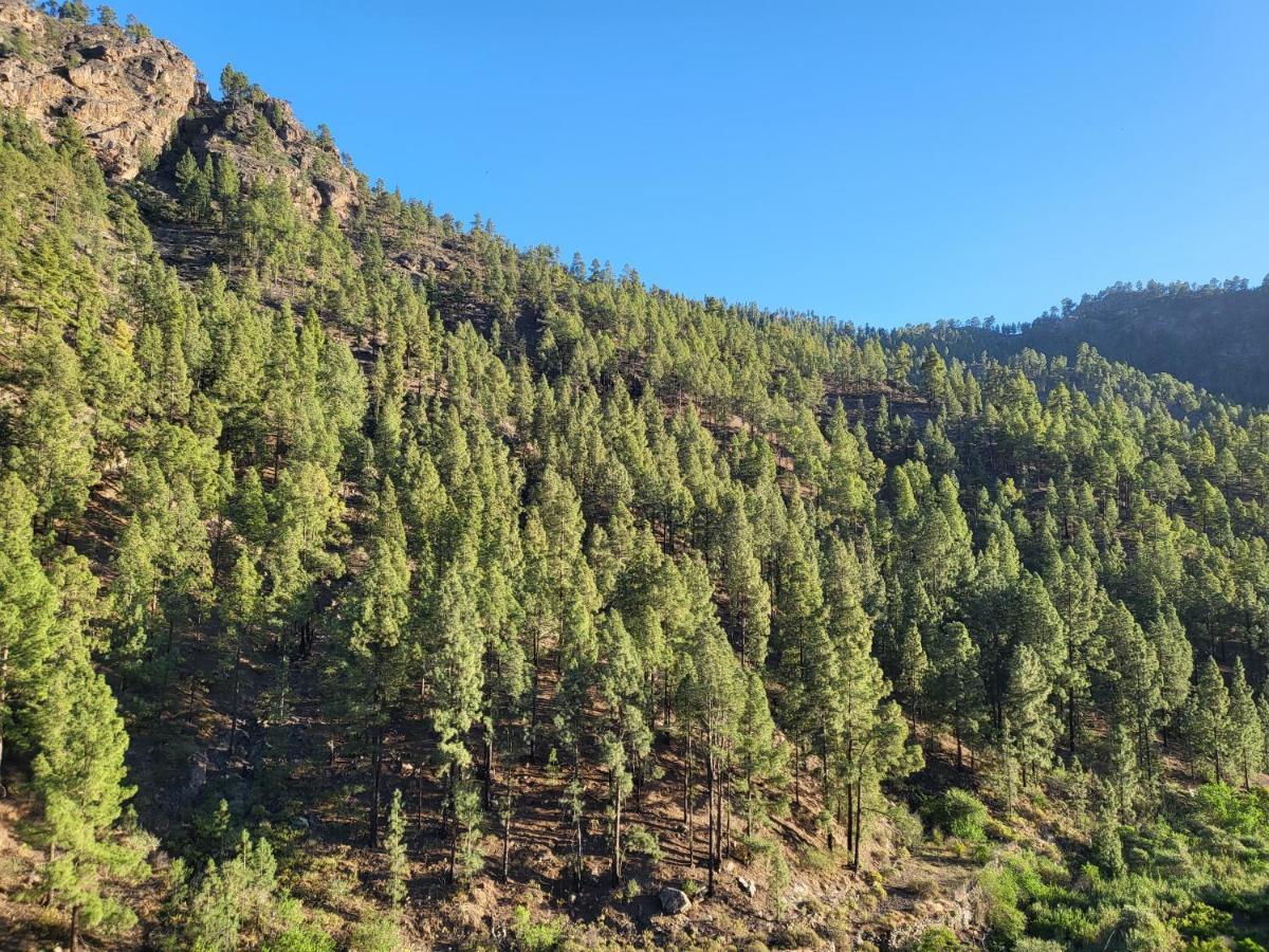 Casa Rural Los Pinares El Juncal De Tejeda 外观 照片