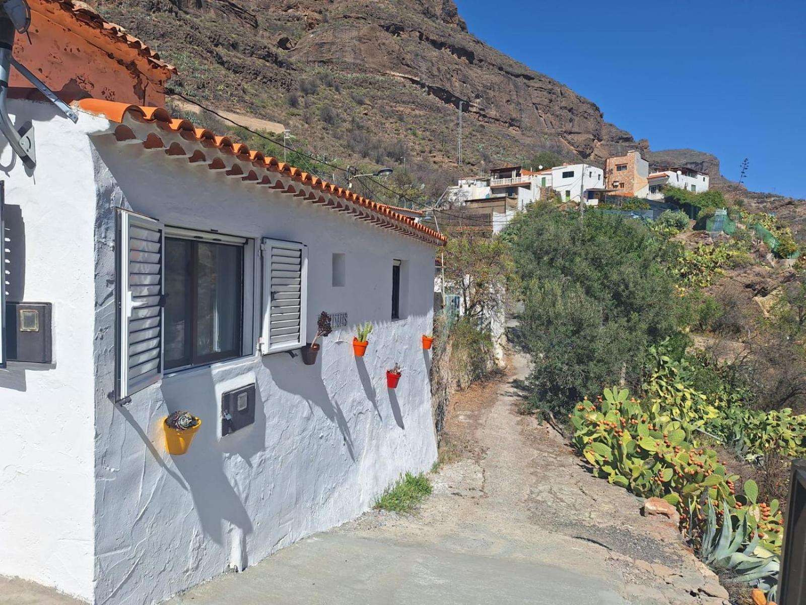 Casa Rural Los Pinares El Juncal De Tejeda 外观 照片