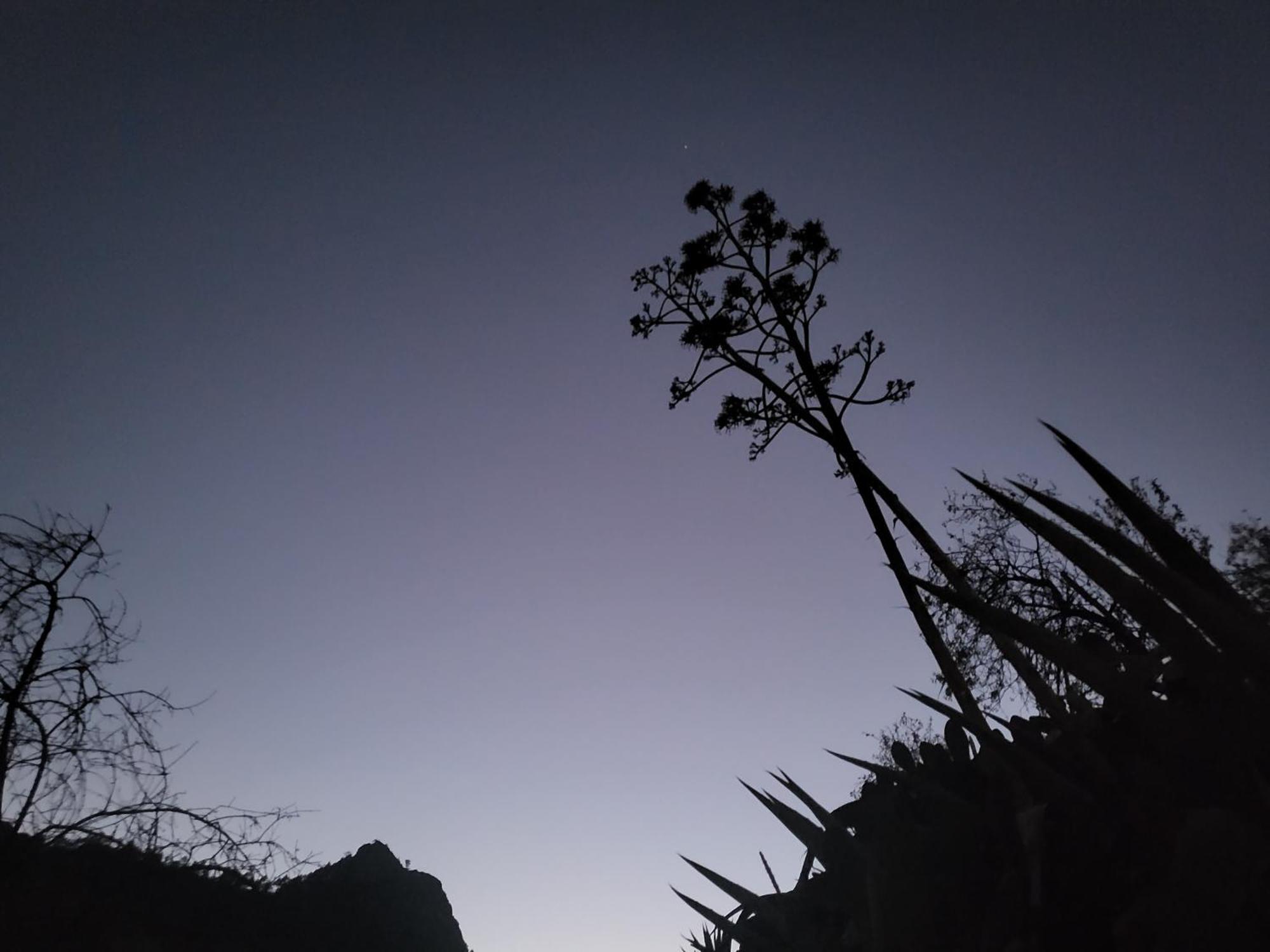 Casa Rural Los Pinares El Juncal De Tejeda 外观 照片